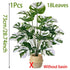 Realistic Artificial Monstera Plant with White Striped Leaves - Perfect for Indoor/Outdoor Decor Weddings Hotels Gardens by DSERS