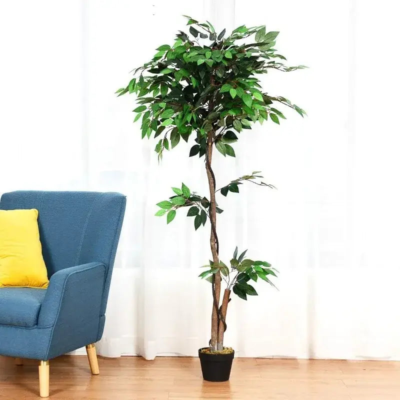 Artificial Ficus Silk Tree in Black Pot