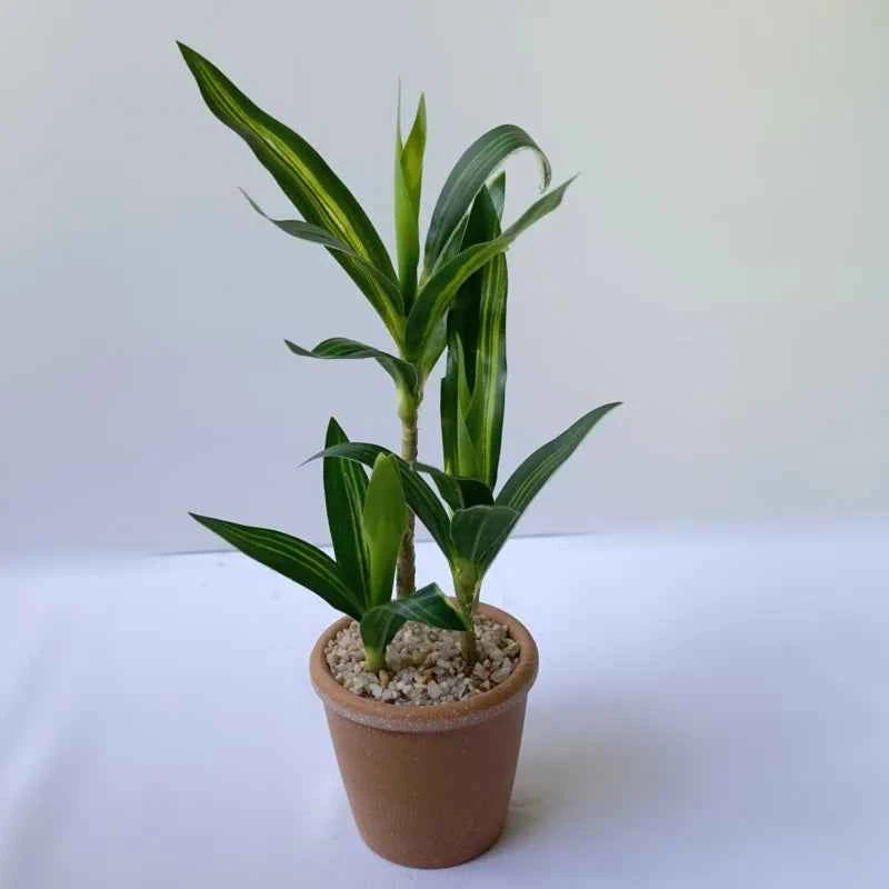 Artificial Lucky Bamboo Plant Green Potted Garden Outdoor Living Room Desktop Aesthetic Space Tropical Rainforest Home Decor by DSERS