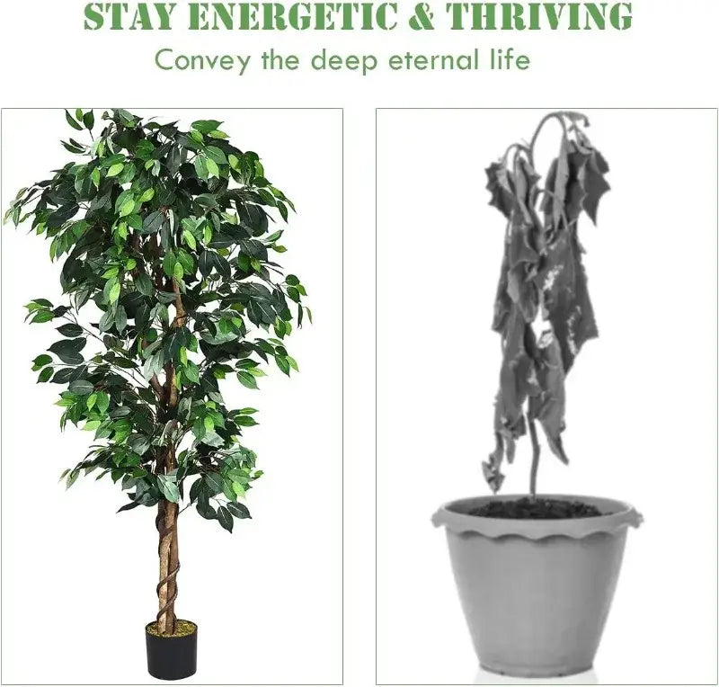 Artificial Ficus Silk Tree in Black Pot