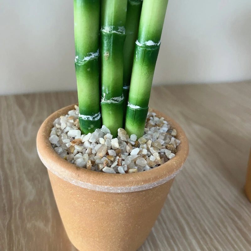 Artificial Lucky Bamboo Plant Green Potted Garden Outdoor Living Room Desktop Aesthetic Space Tropical Rainforest Home Decor by DSERS