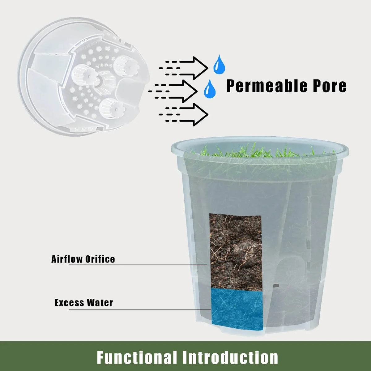 Premium Clear Desktop Resin Flower Pot, Transparent Nurturing Your Green Plants - Suitable for Placing Orchids by DSERS