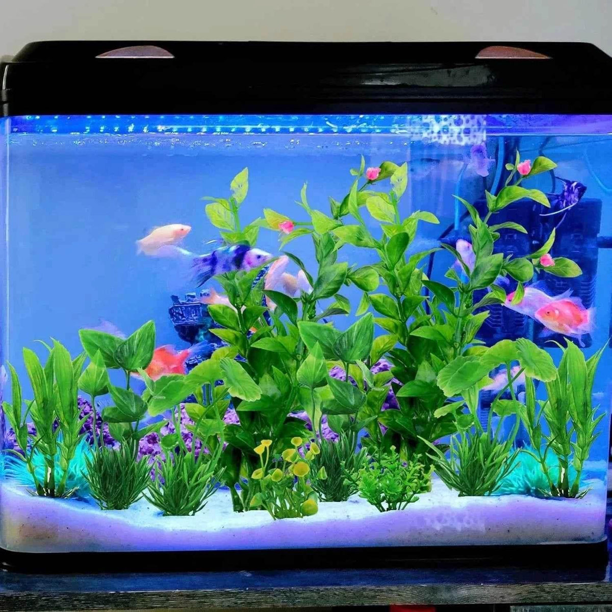 Fish Tank Accessories Green Plants 10pcs Green Fish Tank Decorations Aquarium Artificial Plastic Plants Decor Plastic Plants by DSERS