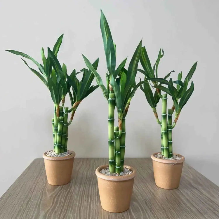 Artificial Lucky Bamboo Plant Green Potted Garden Outdoor Living Room Desktop Aesthetic Space Tropical Rainforest Home Decor