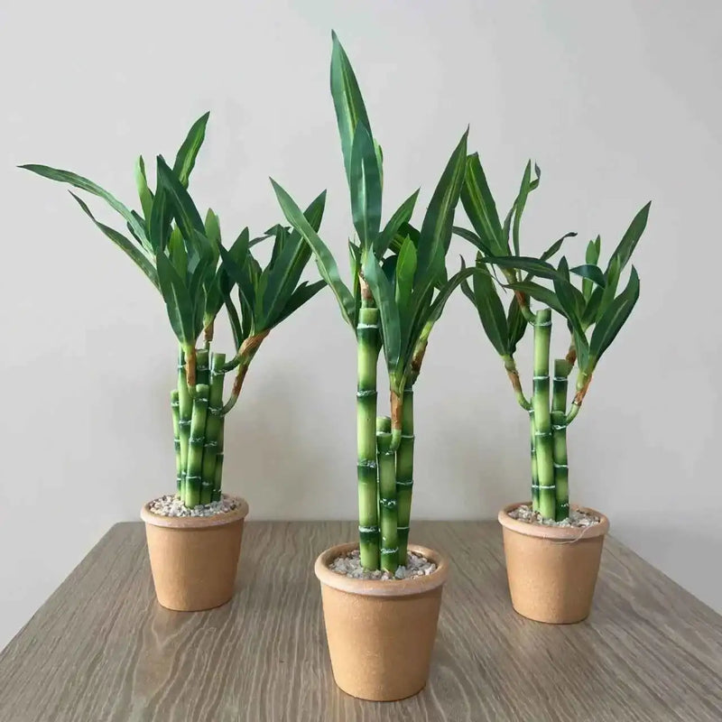 Artificial Lucky Bamboo Plant Green Potted Garden Outdoor Living Room Desktop Aesthetic Space Tropical Rainforest Home Decor by DSERS