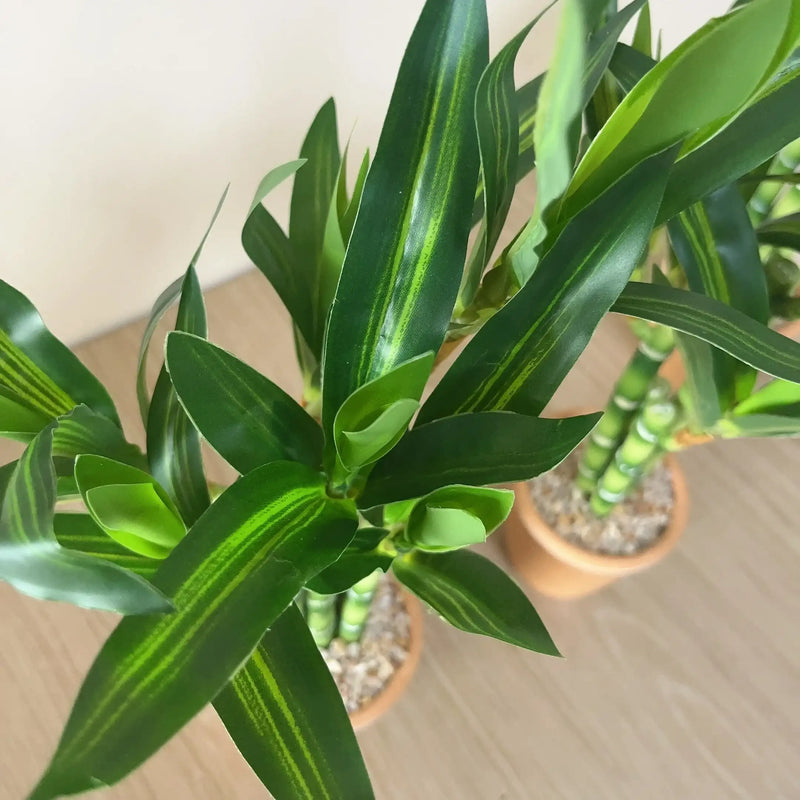 Artificial Lucky Bamboo Plant Green Potted Garden Outdoor Living Room Desktop Aesthetic Space Tropical Rainforest Home Decor by DSERS