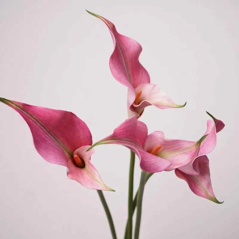 5pcs PU Alocasia Calla Lily Artificial Flowers Diy Wedding Decor Bride Holding Bouquet Calla Home Party Design Business Floral by DSERS