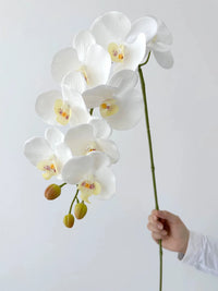 Real Touch Artificial Orchid Flowers 9 Heads White Phalaenopsis Long Stem Yellow Faux Orchids