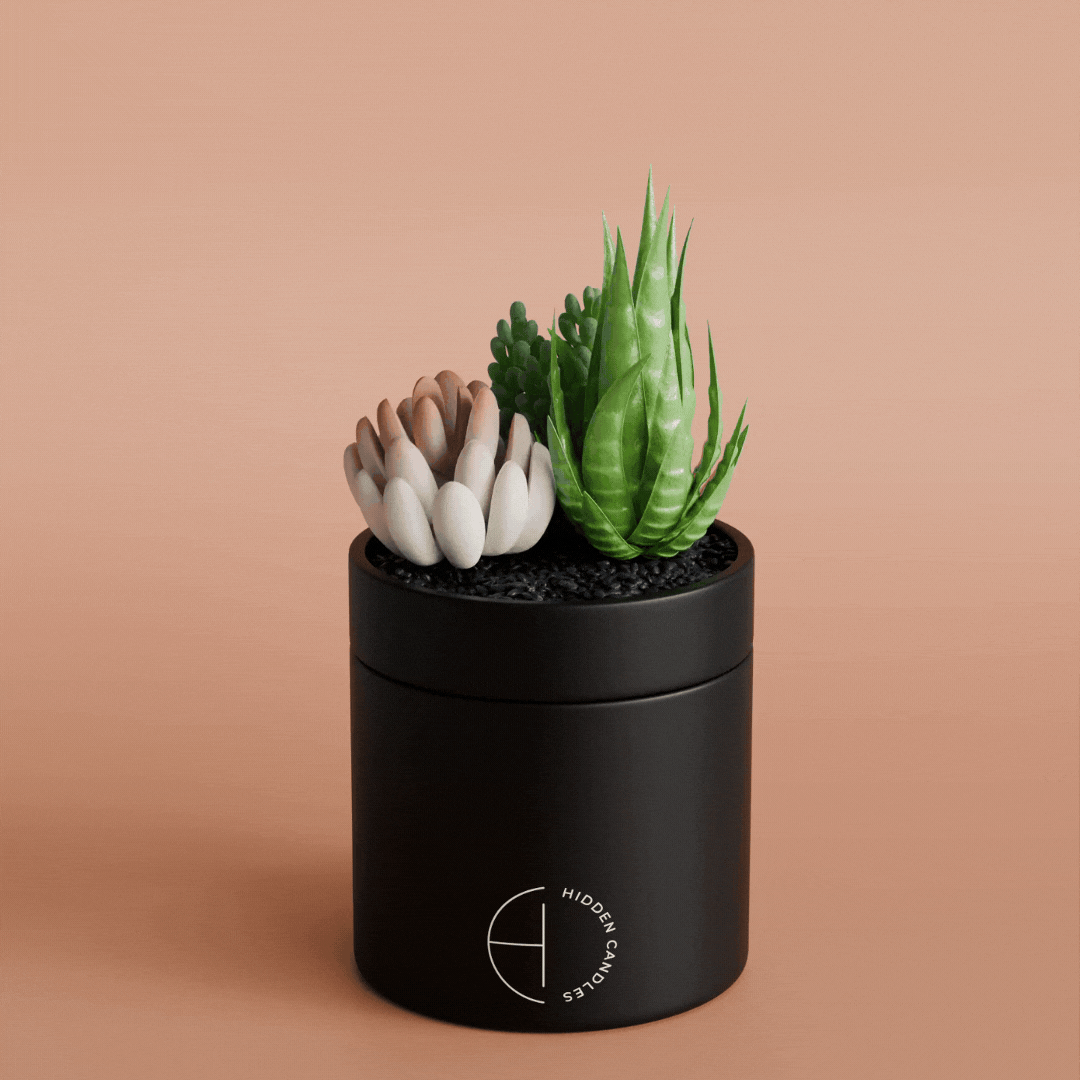 Beach Bungalow Candle Refill - GiFTiFY