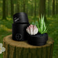Secluded Cabin Candle Refill