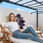 Set of 2 Artificial Caladium Plants with Purple Pink Leaf Faux Bonsai Plant