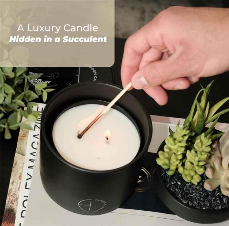 The Hidden Candle Succulent & Candle by Hidden Candles