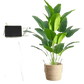 Artificial Bird of Paradise Plant in White Pot Large Tropical Artificial Bird of Paradise Tropical Artificial Plastic Palm Plant - GiFTiFY