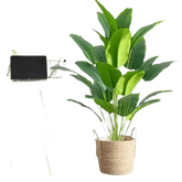 Artificial Bird of Paradise Plant in White Pot Large Tropical Artificial Bird of Paradise Tropical Artificial Plastic Palm Plant Artificial Flowers by Kmitang Official Store