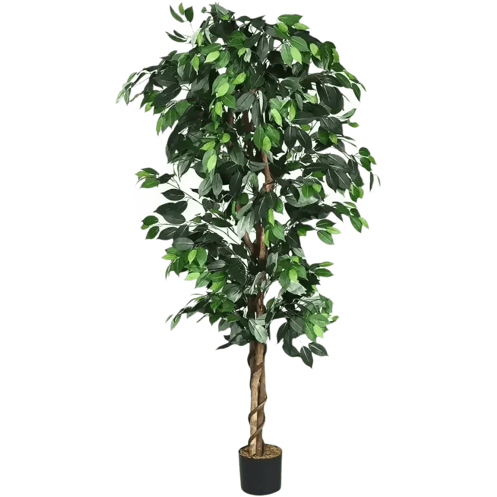 Artificial Ficus Silk Tree in Black Pot fake trees by House Nice Store