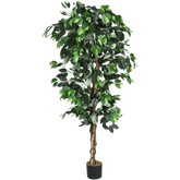 Artificial Ficus Silk Tree in Black Pot - GiFTiFY
