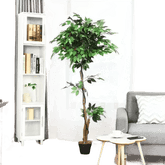 Artificial Ficus Silk Tree in Black Pot - GiFTiFY