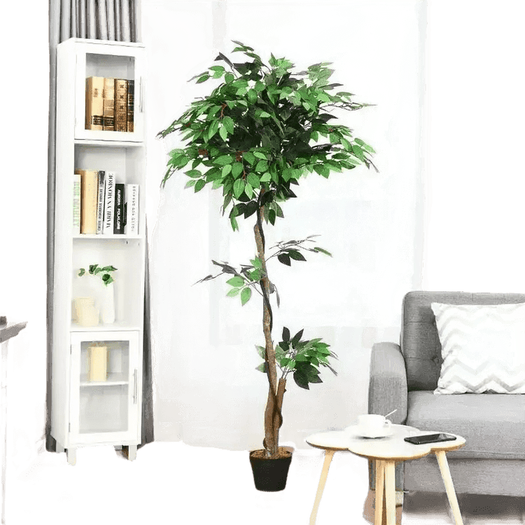 Artificial Ficus Silk Tree in Black Pot - GiFTiFY