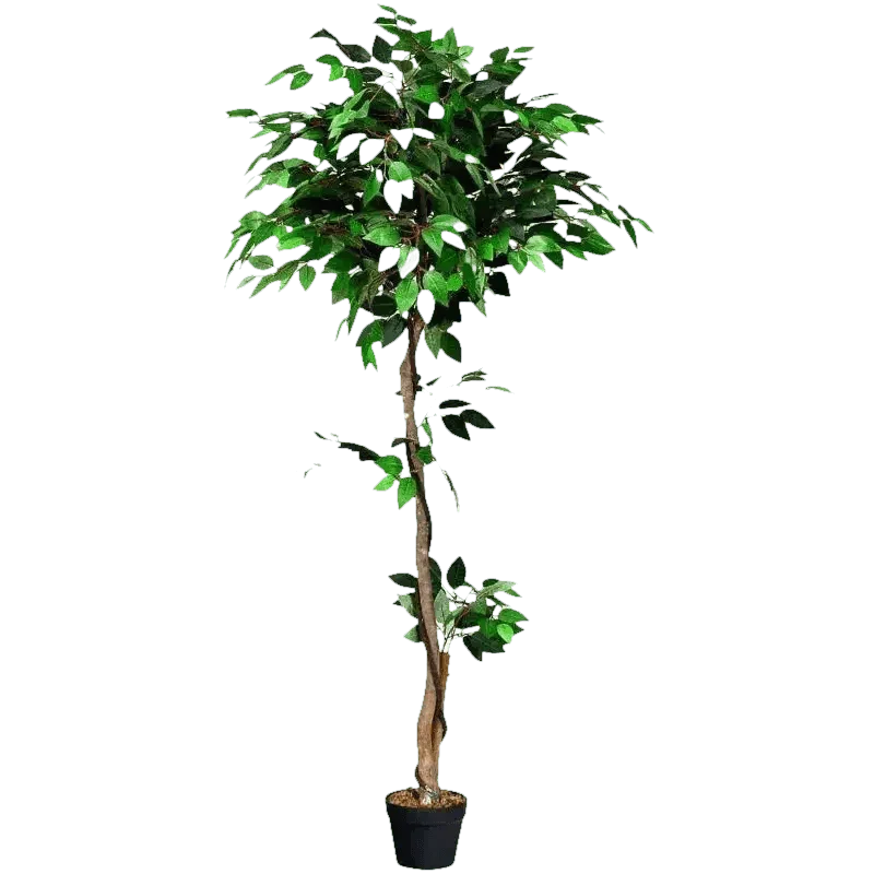 Artificial Ficus Silk Tree in Black Pot fake trees by House Nice Store