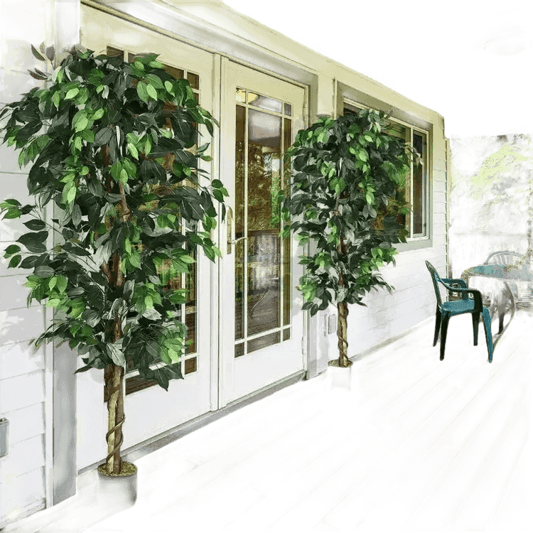 Artificial Ficus Silk Tree in Black Pot - GiFTiFY