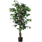 Artificial Ficus Silk Tree in Black Pot - GiFTiFY