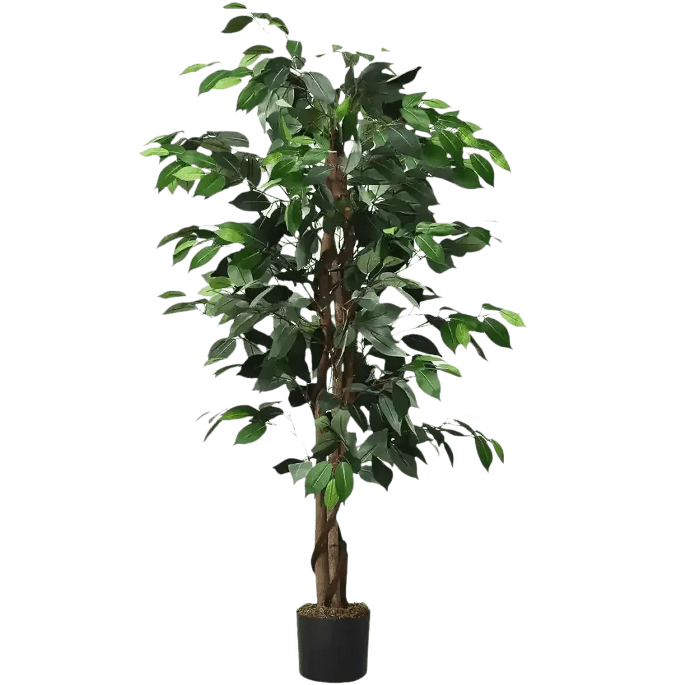 Artificial Ficus Silk Tree in Black Pot fake trees by House Nice Store