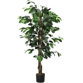 Artificial Ficus Silk Tree in Black Pot - GiFTiFY