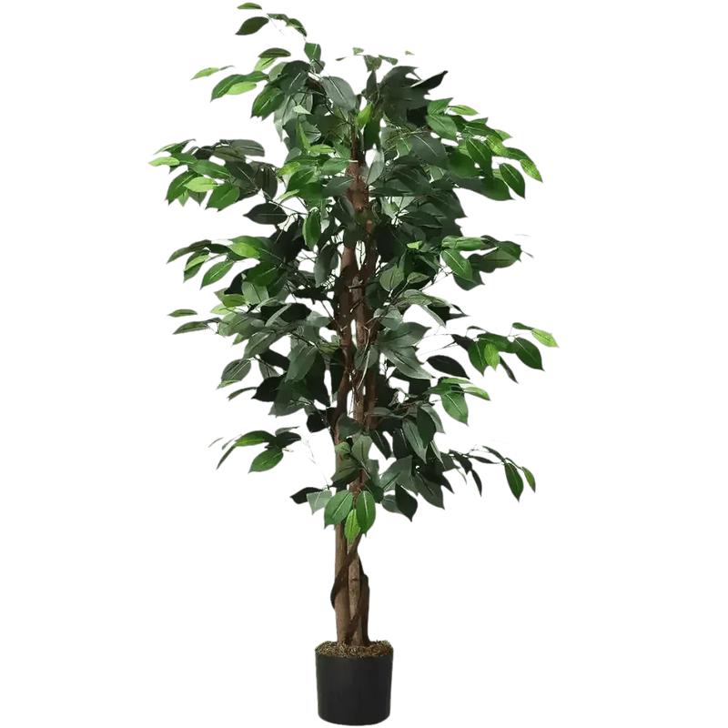 Artificial Ficus Silk Tree in Black Pot fake trees by House Nice Store
