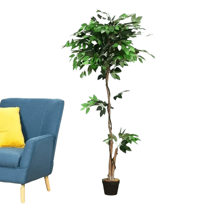 Artificial Ficus Silk Tree in Black Pot fake trees by House Nice Store