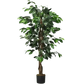Artificial Ficus Silk Tree in Black Pot - GiFTiFY
