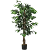 Artificial Ficus Silk Tree in Black Pot - GiFTiFY