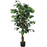 Artificial Ficus Silk Tree in Black Pot - GiFTiFY