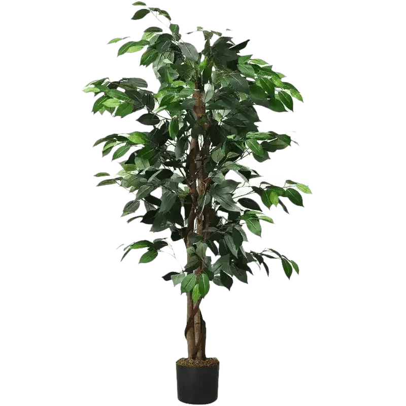 Artificial Ficus Silk Tree in Black Pot fake trees by House Nice Store
