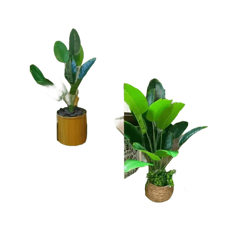 Artificial Tropical Palm Tree in White Pot - GiFTiFY