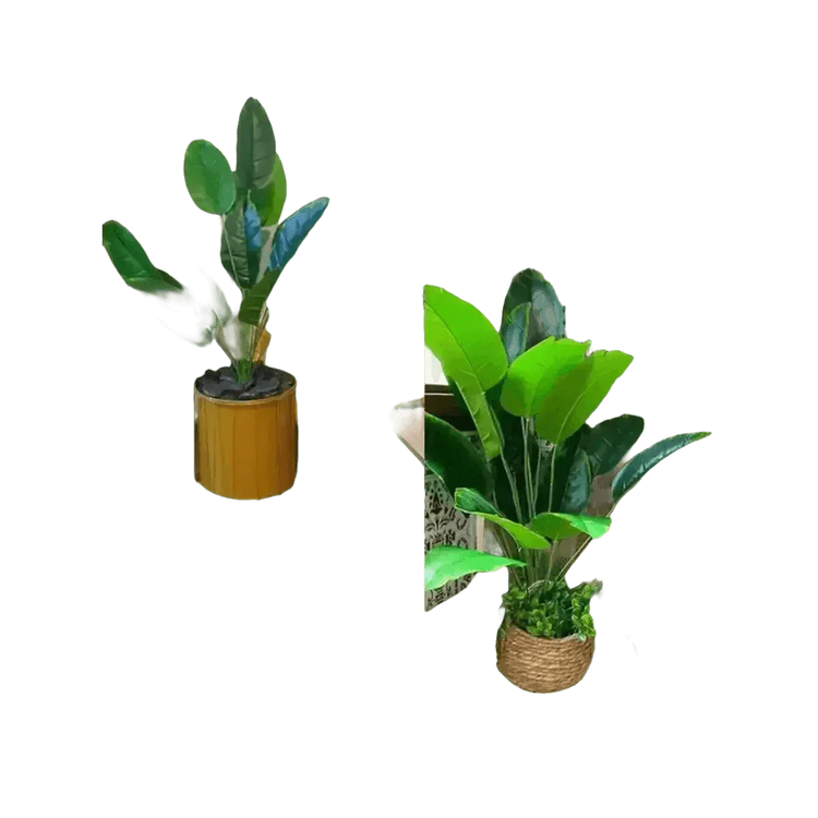 Artificial Tropical Palm Tree in White Pot - GiFTiFY