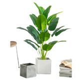 Artificial Tropical Palm Tree in White Pot - GiFTiFY