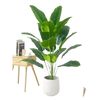 Artificial Tropical Palm Tree in White Pot - GiFTiFY