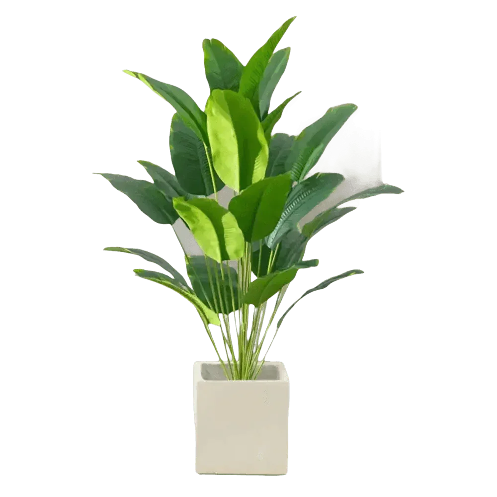 Artificial Tropical Palm Tree in White Pot - GiFTiFY