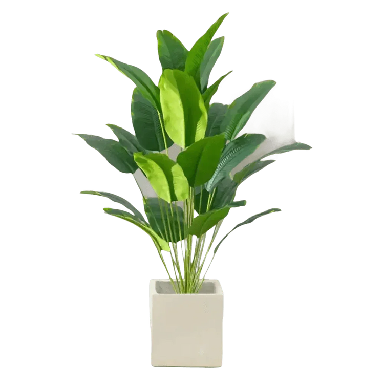 Artificial Tropical Palm Tree in White Pot - GiFTiFY