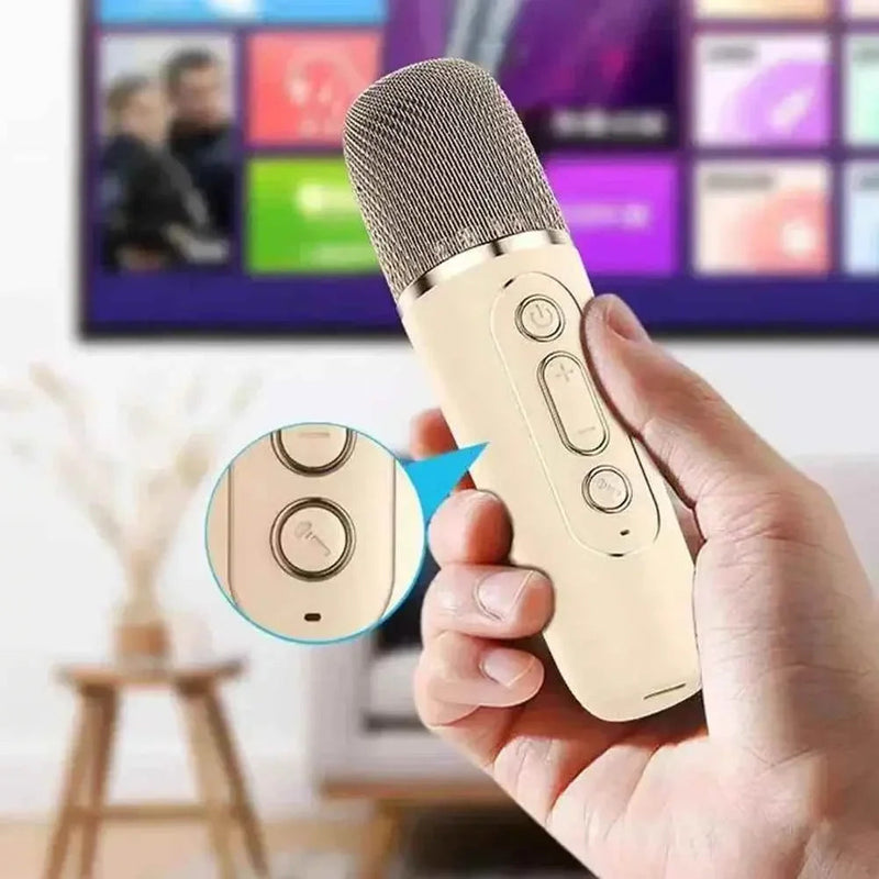 K12 Bluetooth Karaoke Speaker Set Karaoke Speaker by Dropshee
