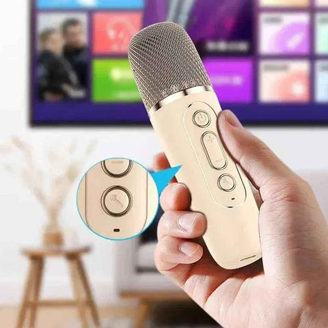 K12 Bluetooth Karaoke Speaker Set