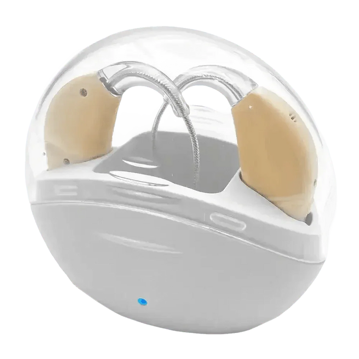Beige Hearing Aids with Black Charging Case Sound Amplifier Hearing Aids Beige Black Hearing Aids Avoid Whistling Beige Case - GiFTiFY