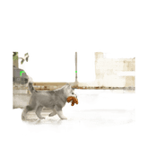 YTGEE Smart Object Face Tracking Phone Holder Black - GiFTiFY