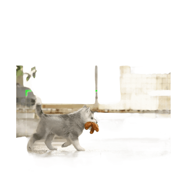 YTGEE Smart Object Face Tracking Phone Holder Black - GiFTiFY