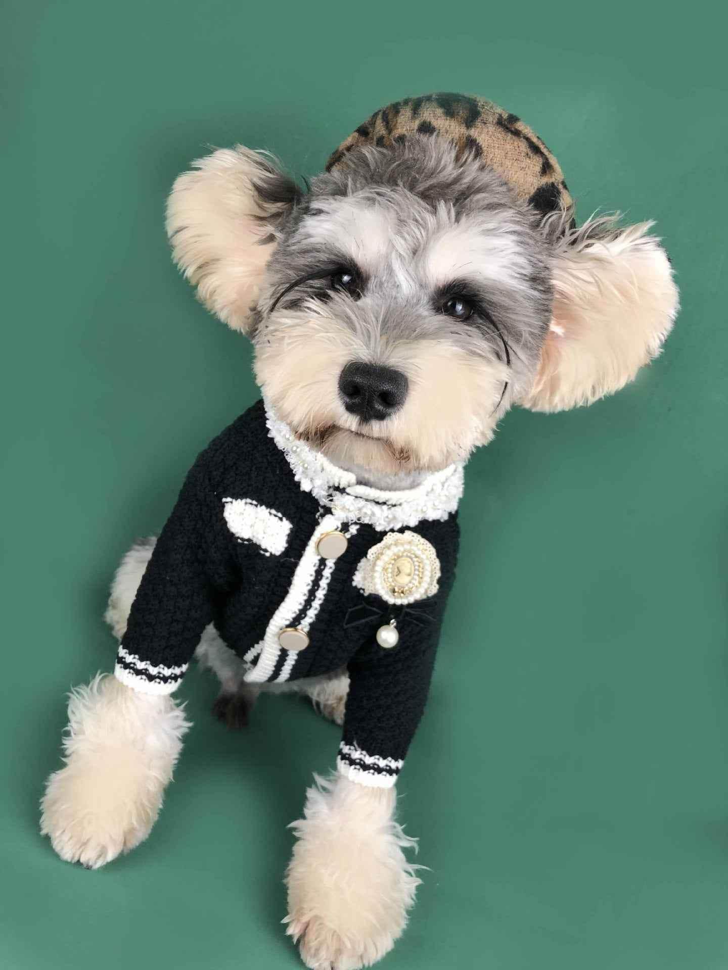 Pet sweater kint fashion cardigan - GiFTiFY