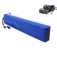 Blue 36v 14ah Battery for 500w E-Bike