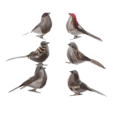 Blue Artificial Bird Flower Decorations - GiFTiFY