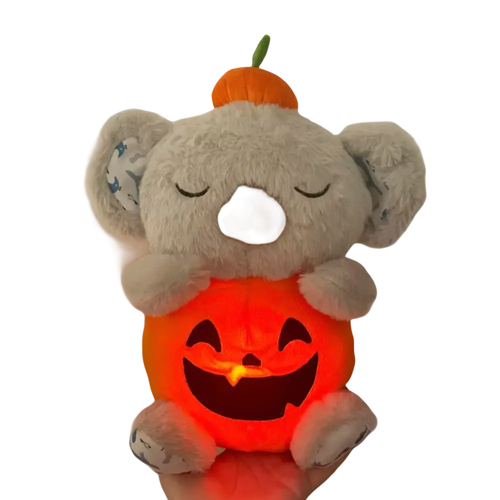Stuffed koala holding a glowing jack-o’-lantern.