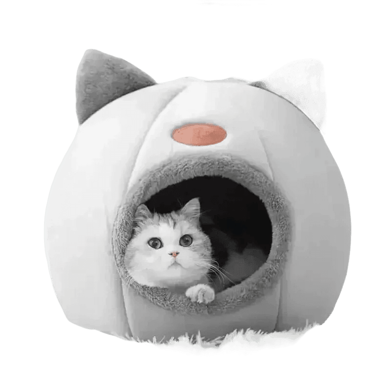 Cat in Gray Cat Bed Myliketpets Shop Small Pet Basket - GiFTiFY