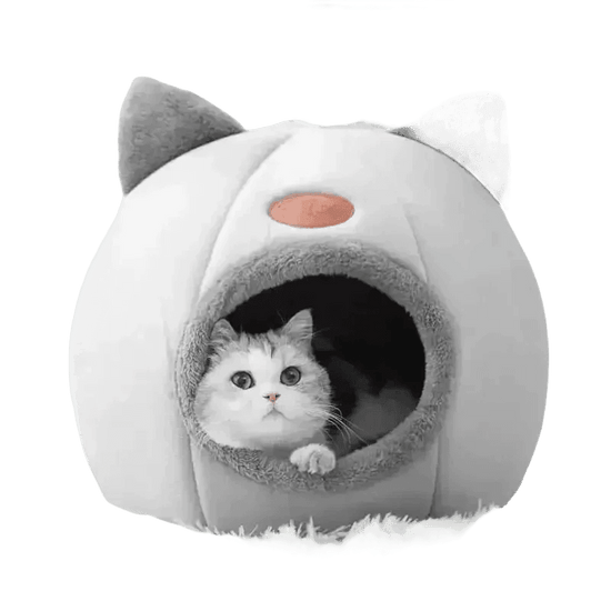 Cat in Gray Cat Bed Myliketpets Shop Small Pet Basket - GiFTiFY